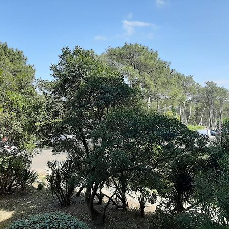 Studio Cosy Proche Ocean Et Commerces, Parfait Pour Des Vacances A Deux! - Fr-1-239-437 Seignosse Luaran gambar