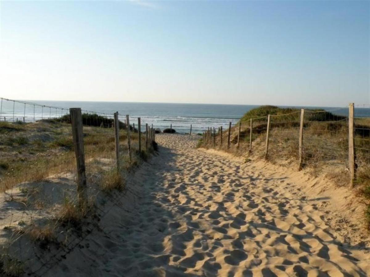 Studio Cosy Proche Ocean Et Commerces, Parfait Pour Des Vacances A Deux! - Fr-1-239-437 Seignosse Luaran gambar