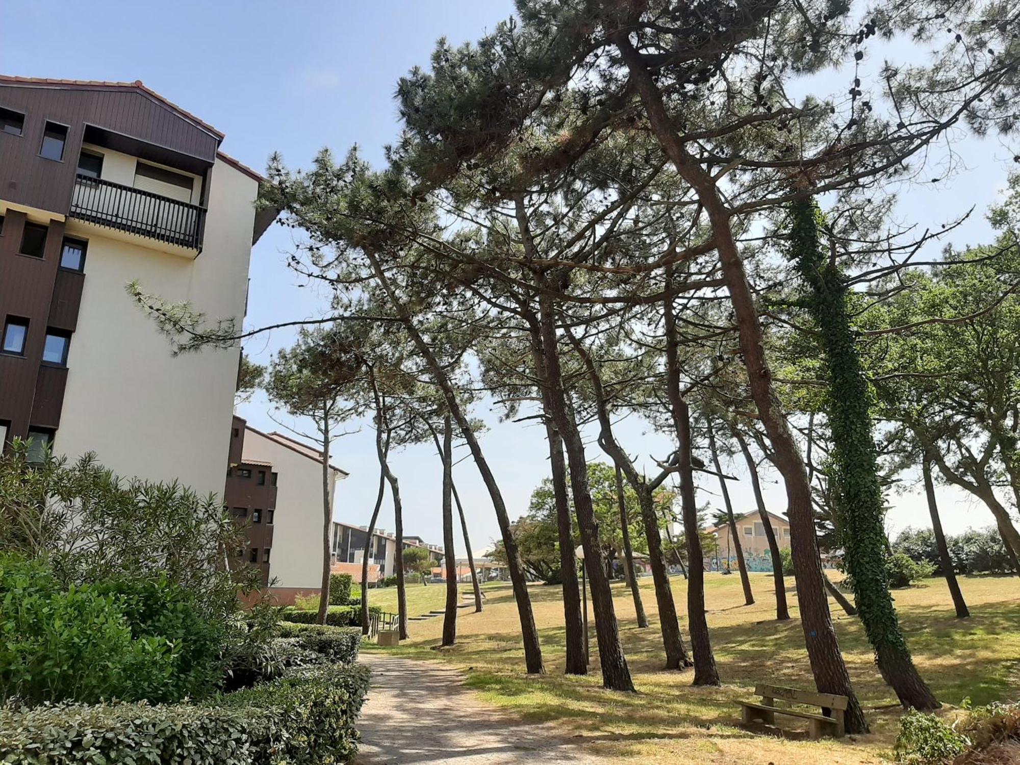 Studio Cosy Proche Ocean Et Commerces, Parfait Pour Des Vacances A Deux! - Fr-1-239-437 Seignosse Luaran gambar