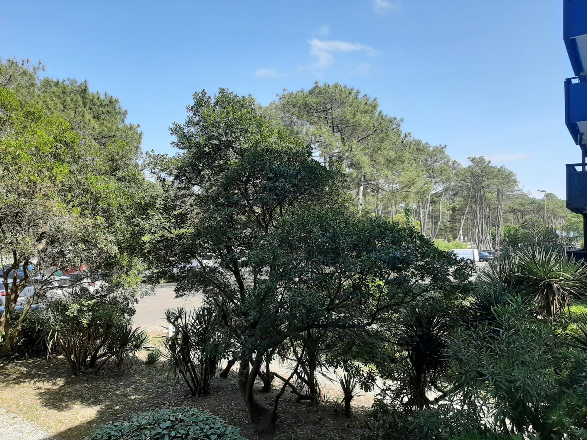 Studio Cosy Proche Ocean Et Commerces, Parfait Pour Des Vacances A Deux! - Fr-1-239-437 Seignosse Luaran gambar